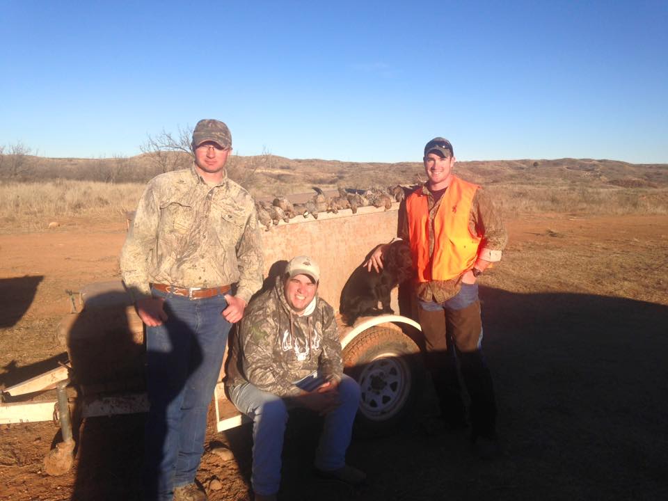 Texas Panhandle Quail Hunt W/ Lodging In Amarillo