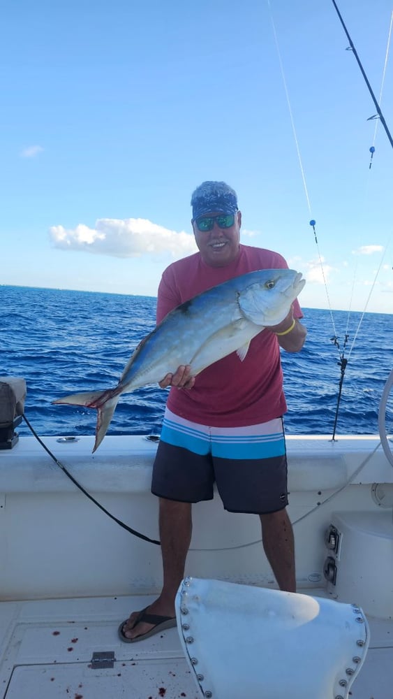 3/4 Day Trip In Islamorada