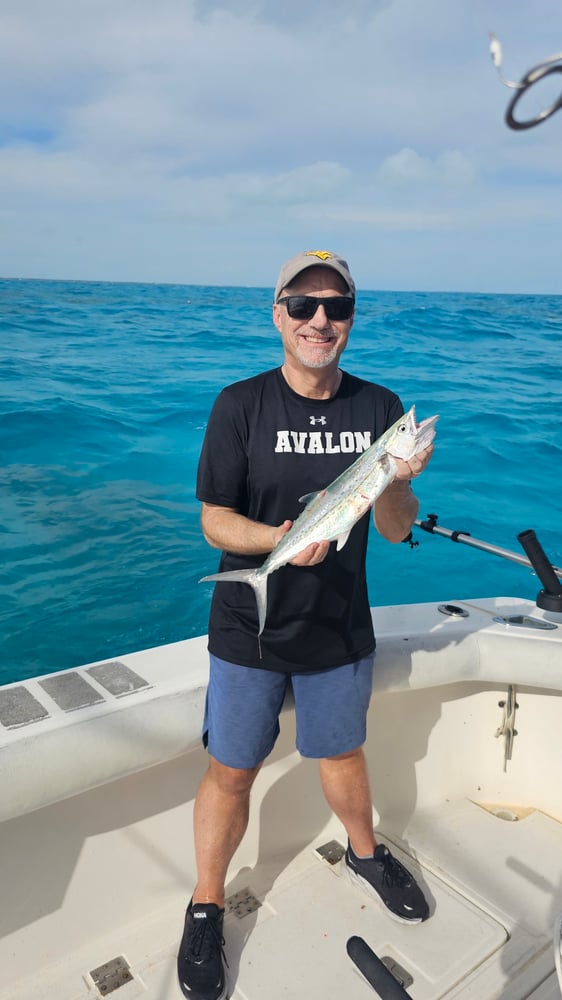 3/4 Day Trip In Islamorada