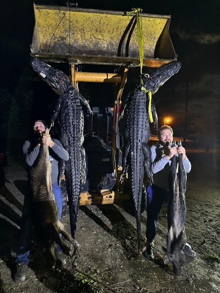 Trophy Gator Hunt In Arcadia