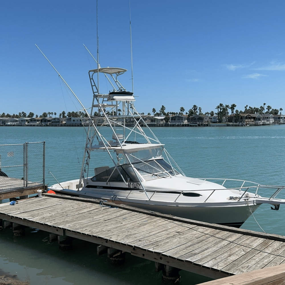 Bottom Fishing And Jigging SPI In Port Isabel