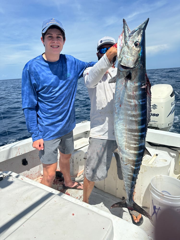 Boynton Beach Fish Frenzy! In Boynton Beach