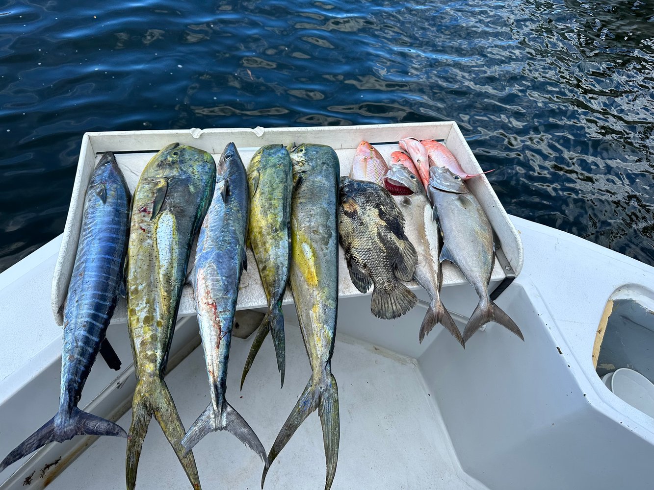 Florida Fishing Fun! In Fort Lauderdale