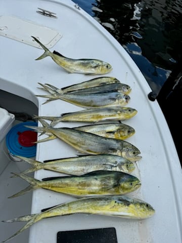 Florida Fishing Fun! In Fort Lauderdale