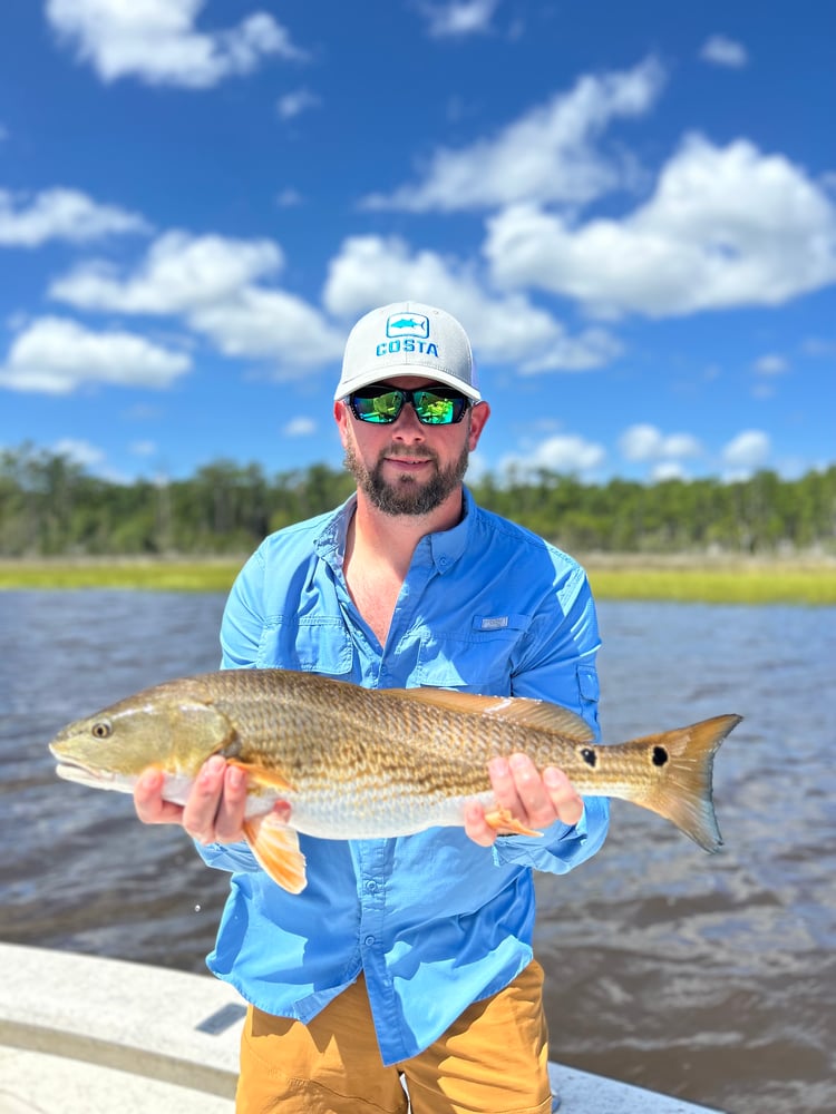 Inshore (AM) In Beaufort