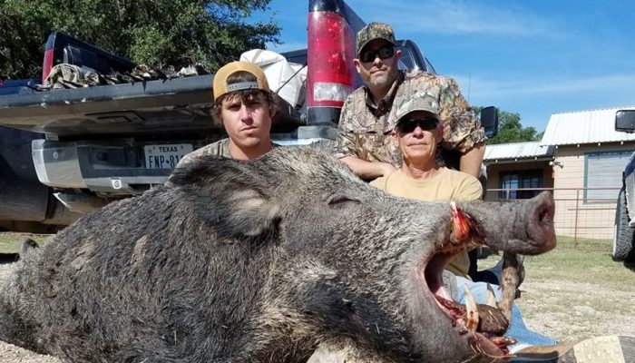 Thermal Hog Hunting In Corpus Christi