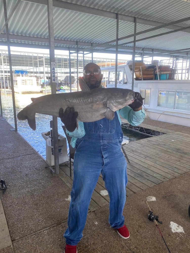 Lake Ray Hubbard White Bass+ In Rowlett