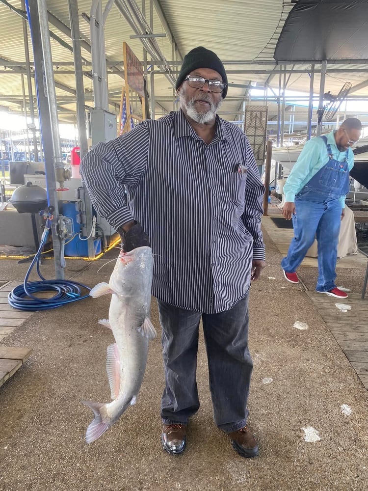 Lake Ray Hubbard White Bass+ In Rowlett