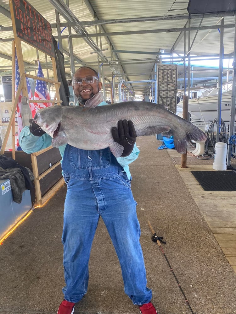 Lake Ray Hubbard White Bass+ In Rowlett