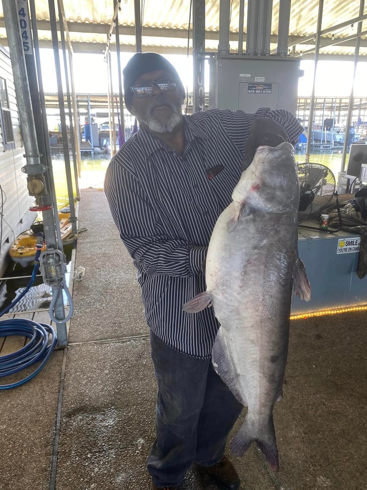 Lake Ray Hubbard White Bass+ In Rowlett