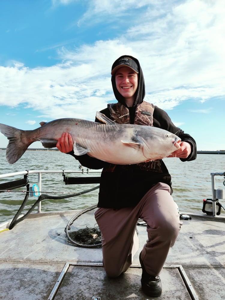 Lake Ray Hubbard White Bass+ In Rowlett