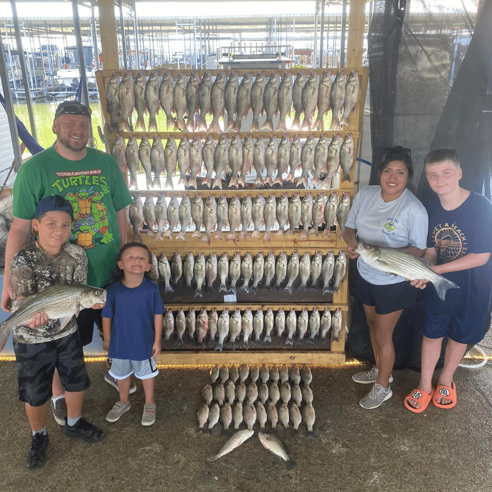 Lake Ray Hubbard White Bass+ In Rowlett