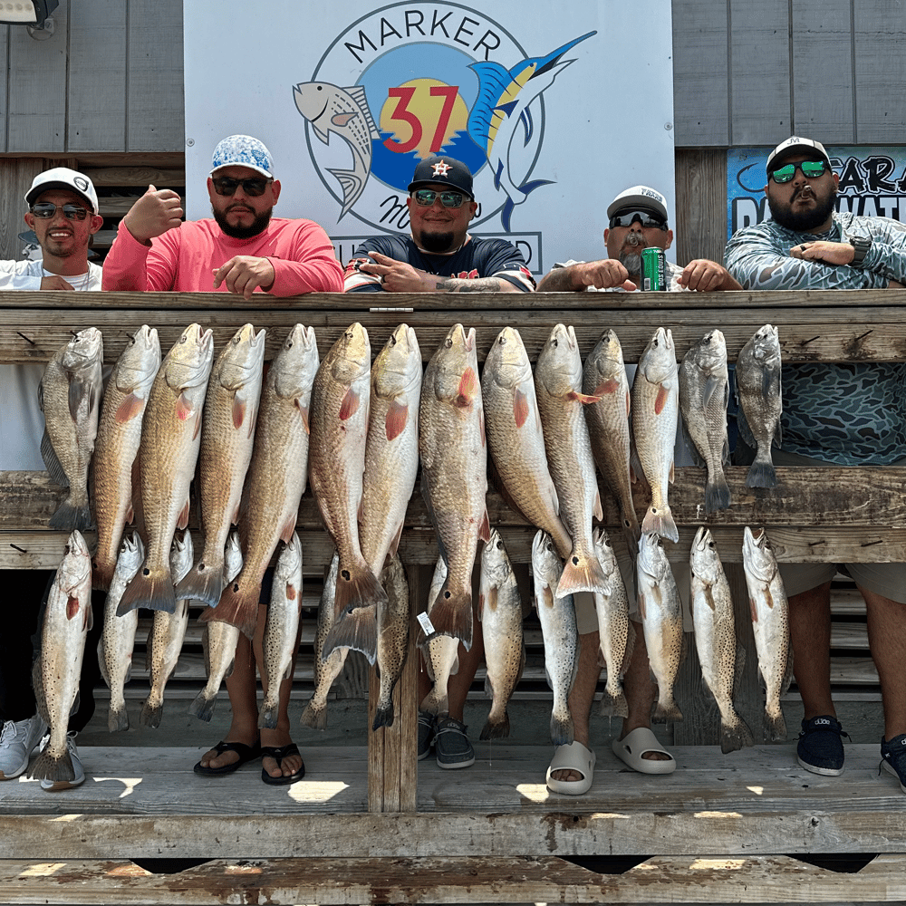 Inshore Excursion In Corpus Christi