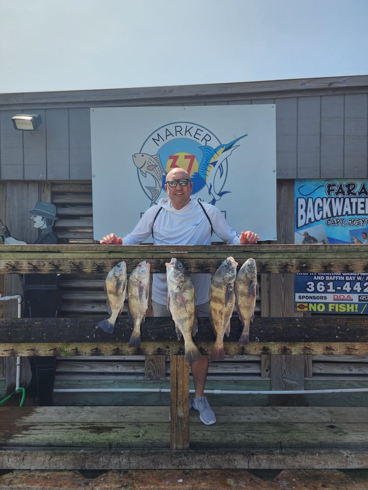 Afternoon Fishing!! 4 Hour In Corpus Christi