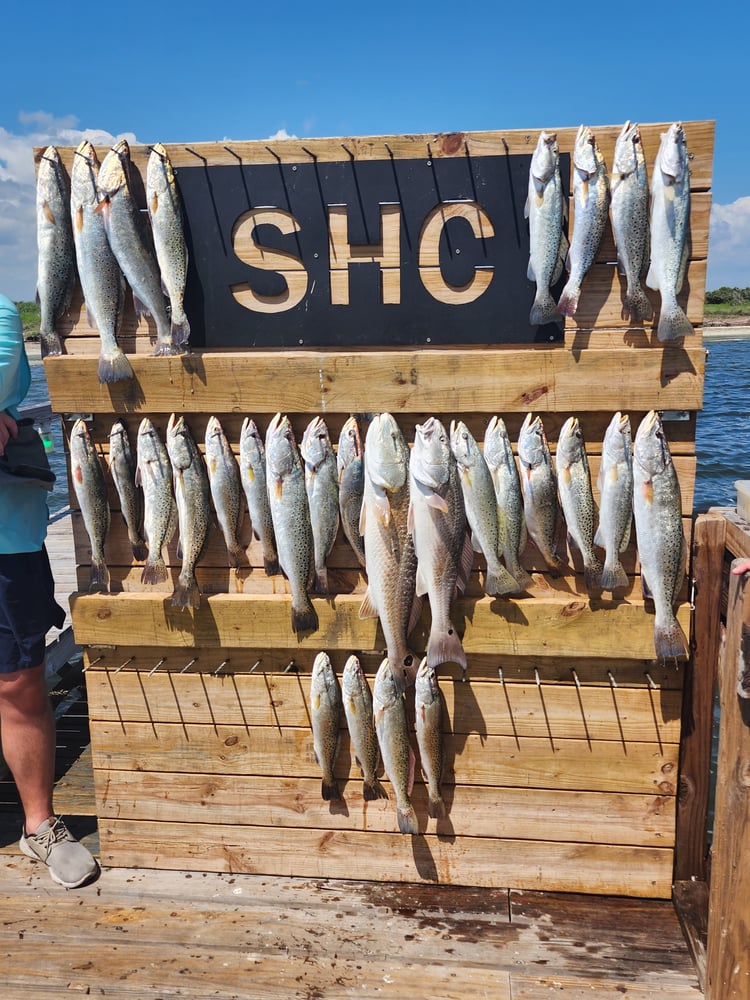 Afternoon Fishing!! 4 Hour In Corpus Christi