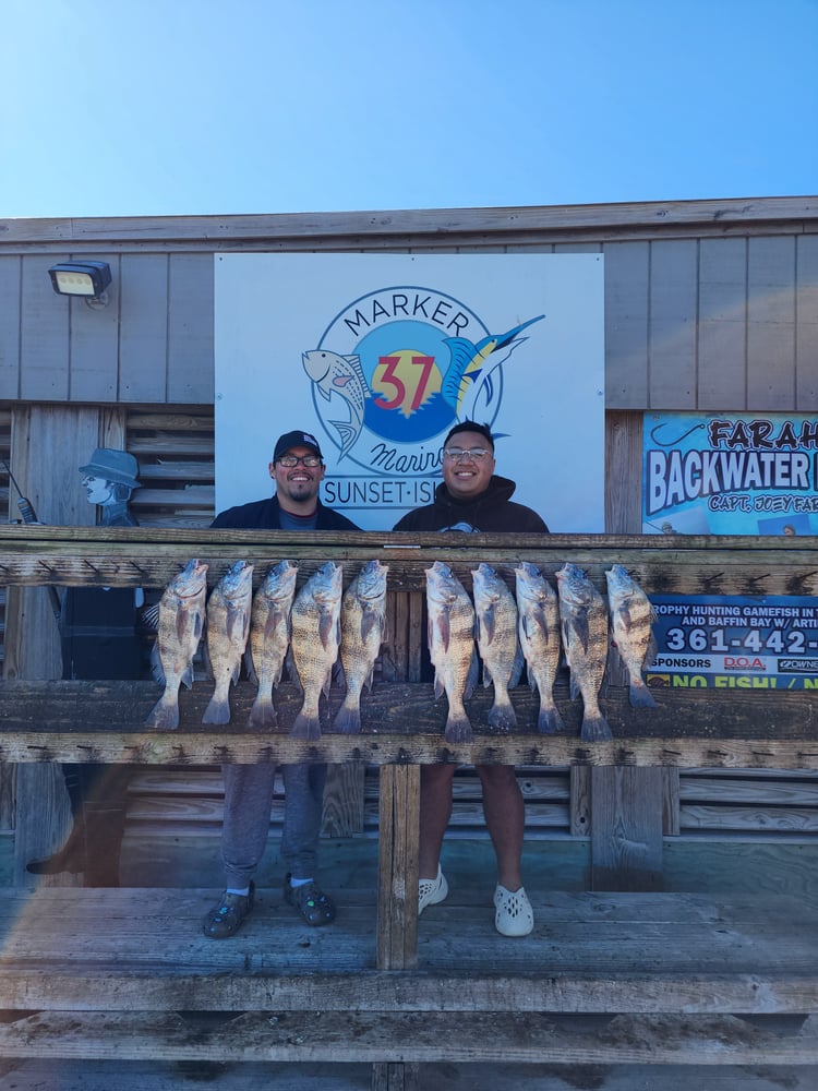 Afternoon Fishing!! 4 Hour In Corpus Christi