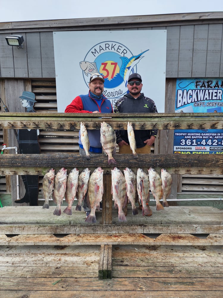 Afternoon Fishing!! 4 Hour In Corpus Christi