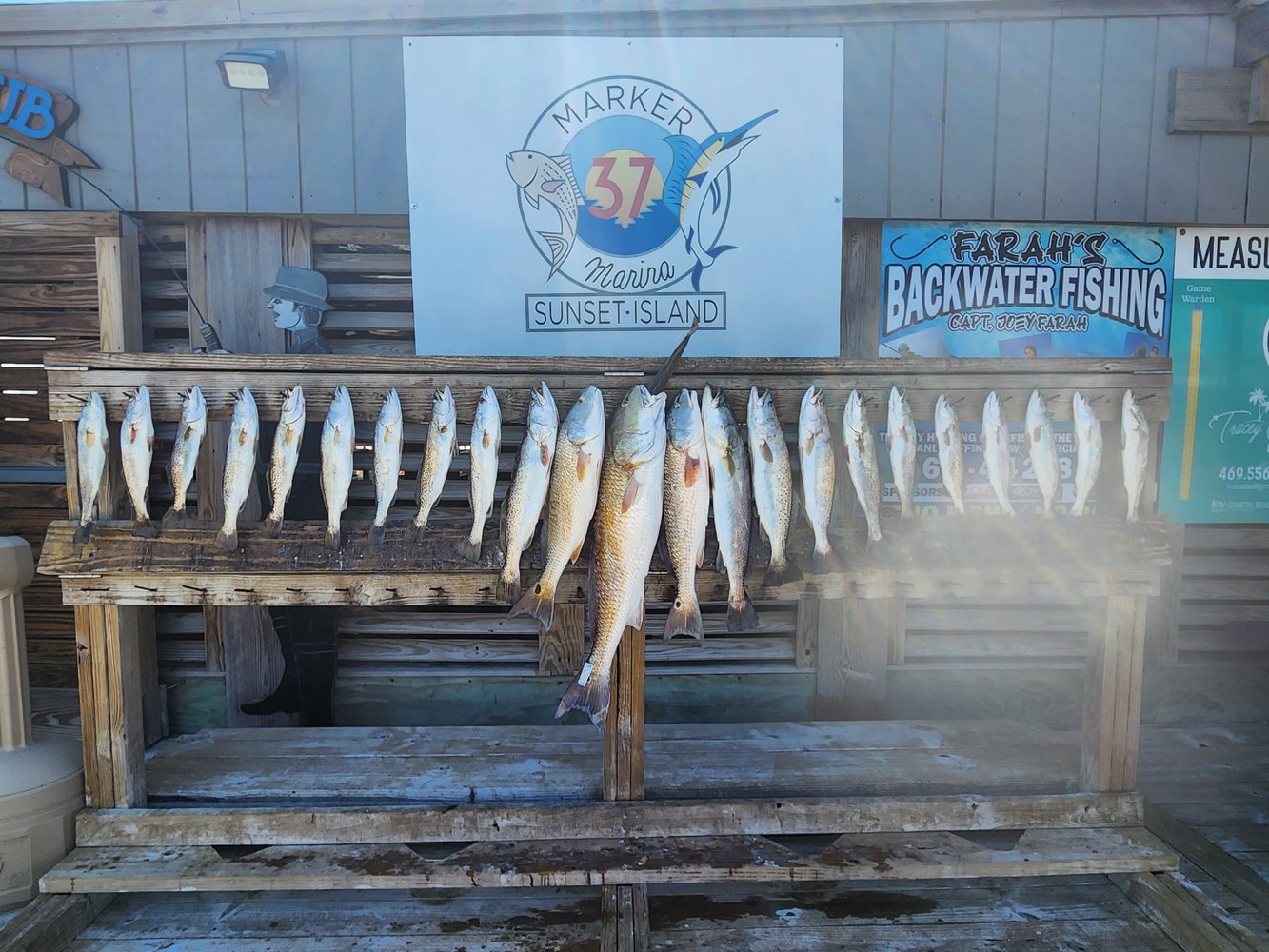 Afternoon Fishing!! 4 Hour In Corpus Christi