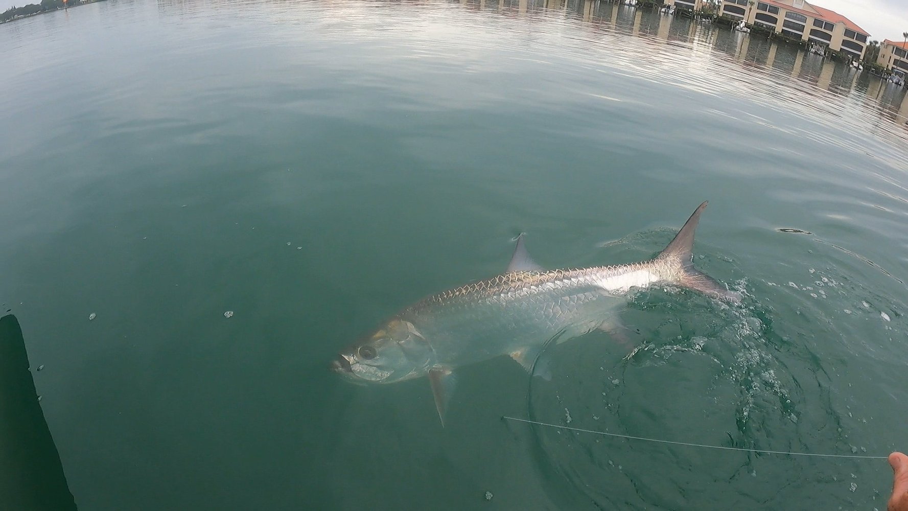 Near Shore In New Smyrna Beach