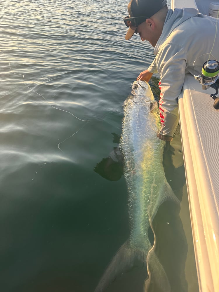 Near Shore In New Smyrna Beach