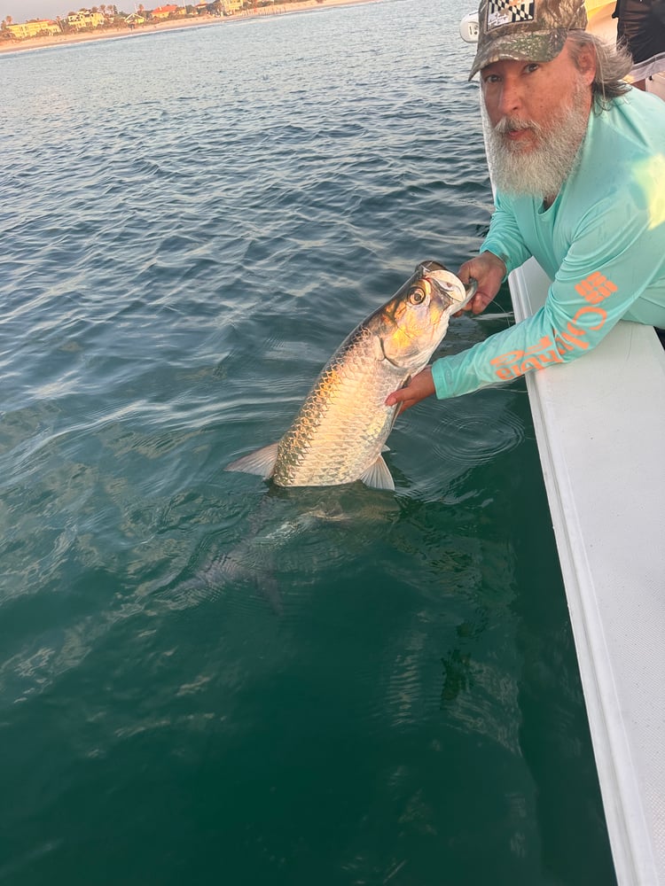 Near Shore In New Smyrna Beach