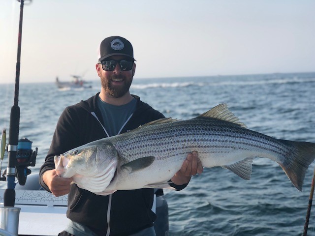 Early Season Striper - 26’ In Chatham