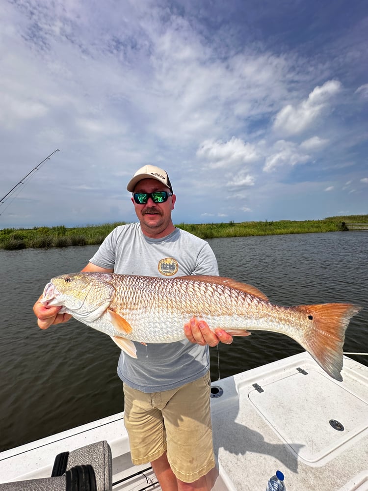 Half Day Inshore In Saint Bernard