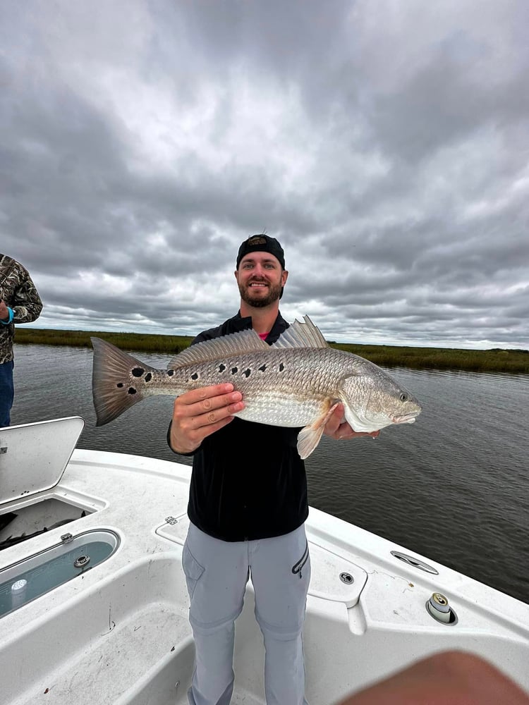 Half Day Inshore In Saint Bernard