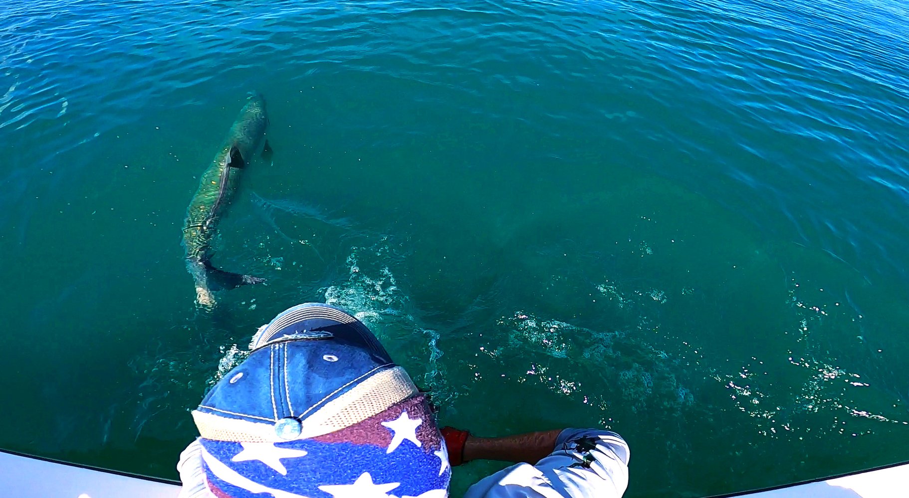 New Smyrna / Daytona Beach Tarpon In Edgewater