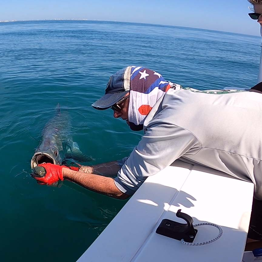 New Smyrna / Daytona Beach Tarpon In Edgewater