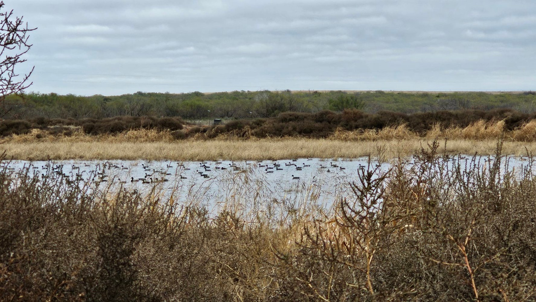 Childress, TX Duck Hunts In Childress