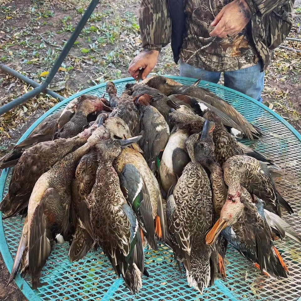 Childress, TX Duck Hunts In Childress