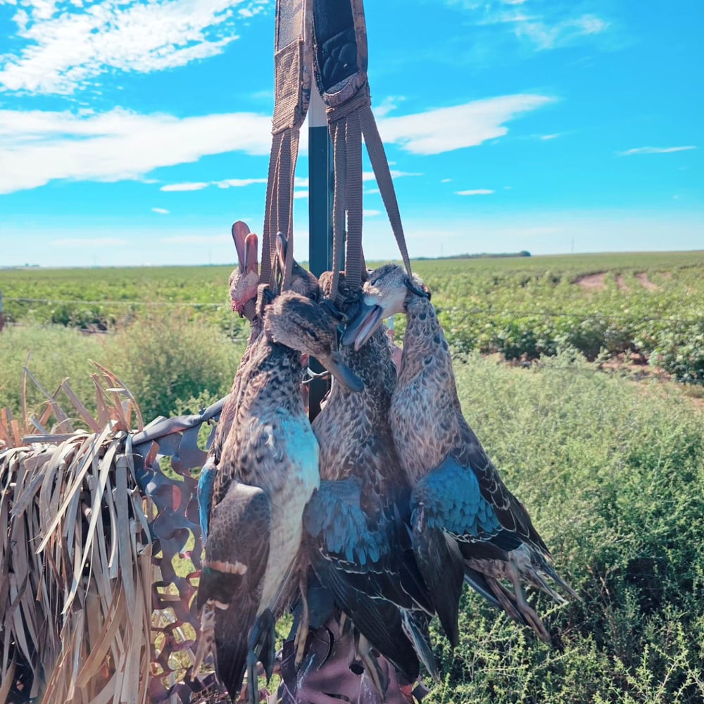 Childress, TX Duck Hunts In Childress