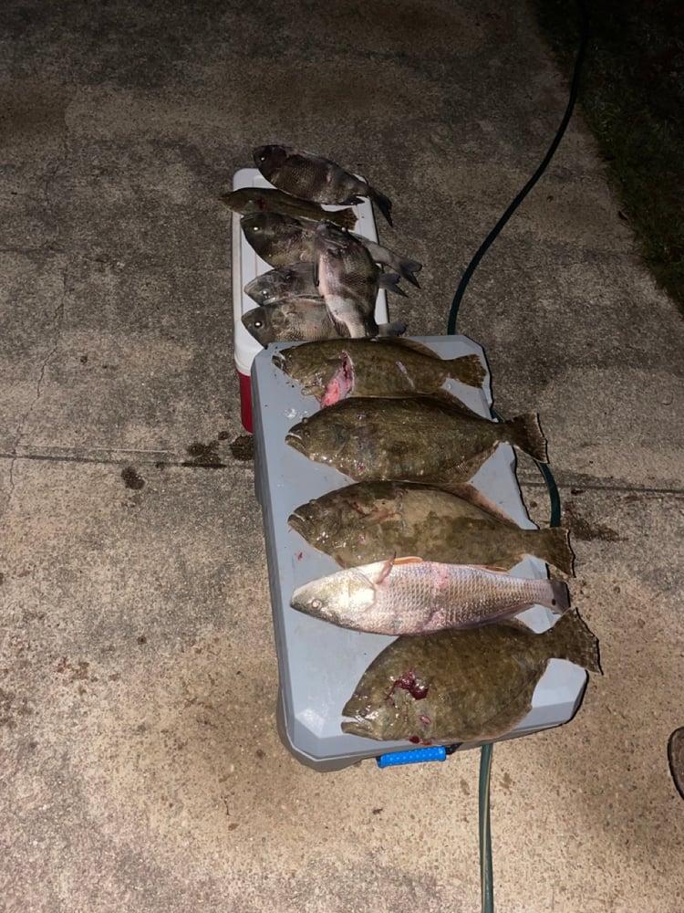 Flounder Gigging In Dauphin Island