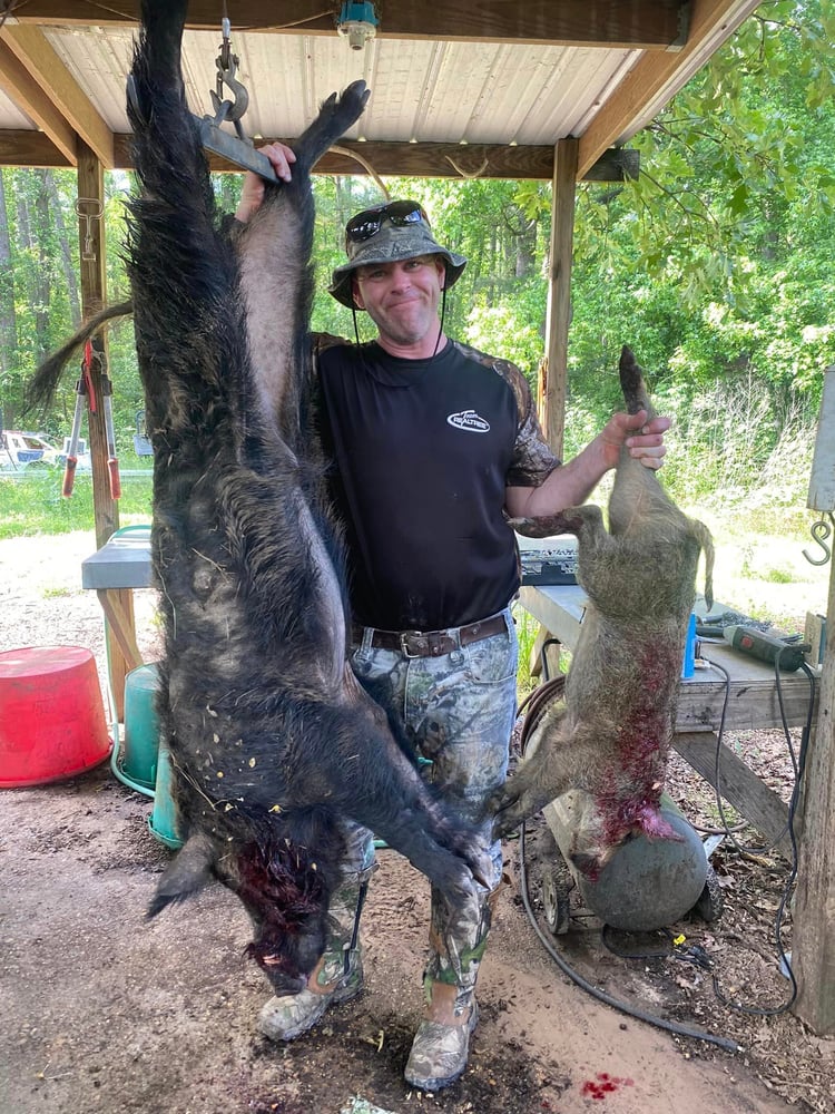 Bivins Hog Hunts In Bivins