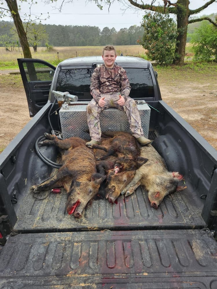 Bivins Hog Hunts In Bivins