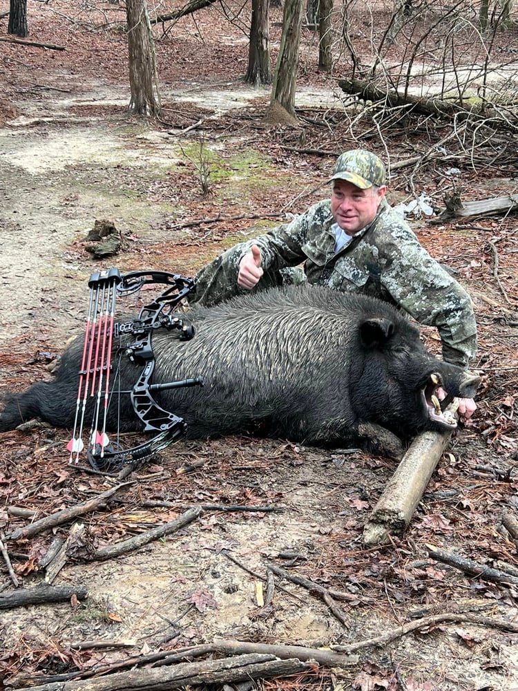 Bivins Hog Hunts In Bivins