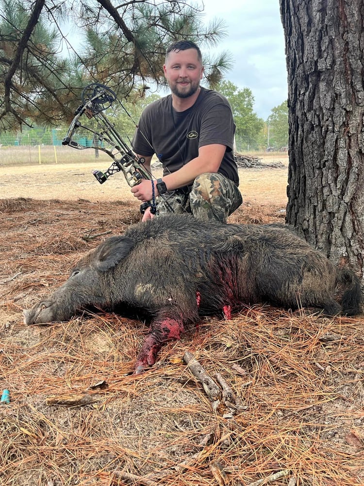 Bivins Hog Hunts In Bivins