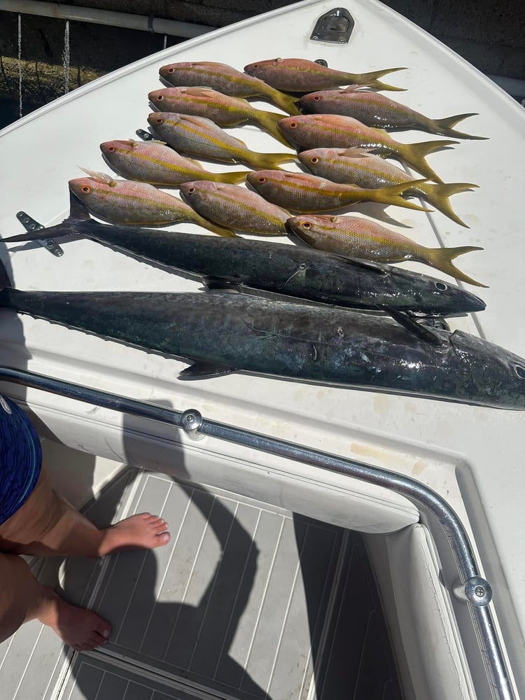 Epic Offshore Quick Trips In Tavernier