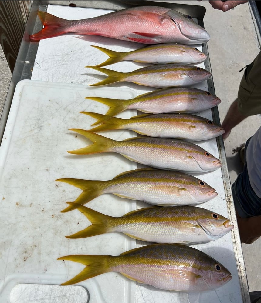 Epic Offshore Quick Trips In Tavernier