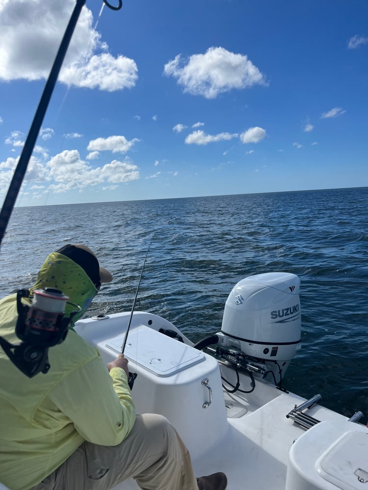 4 Hour Backwater/Nearcoastal In Naples