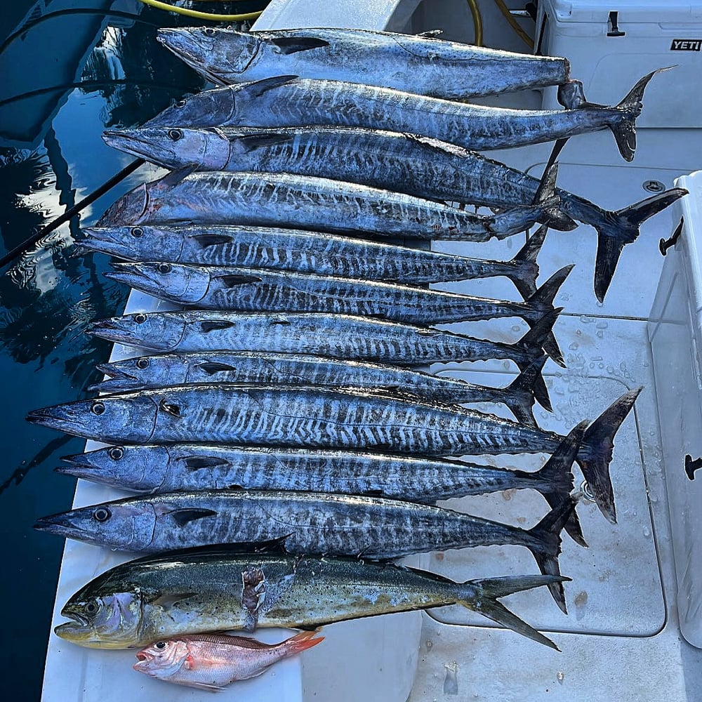 Sportfishing In Fort Lauderdale