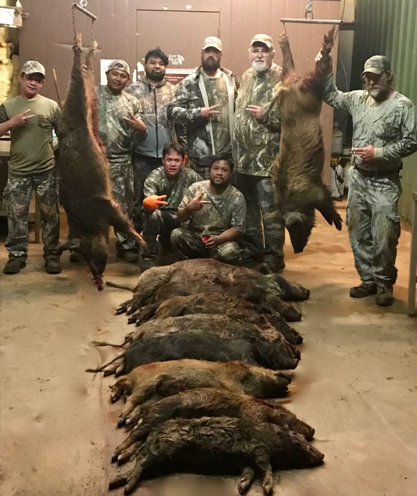 Evening Hog Hunts In Lufkin