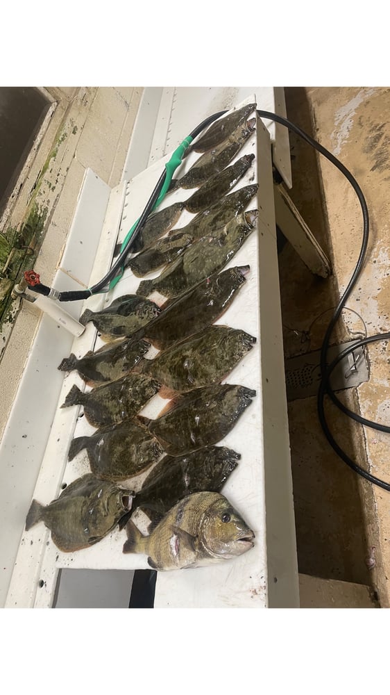 Port Aransas Flounder Gigging In Port Aransas