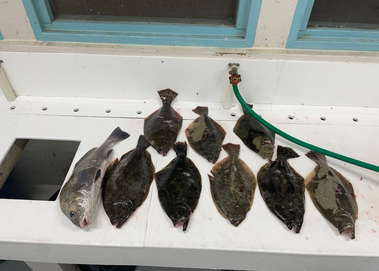 Port Aransas Flounder Gigging In Port Aransas