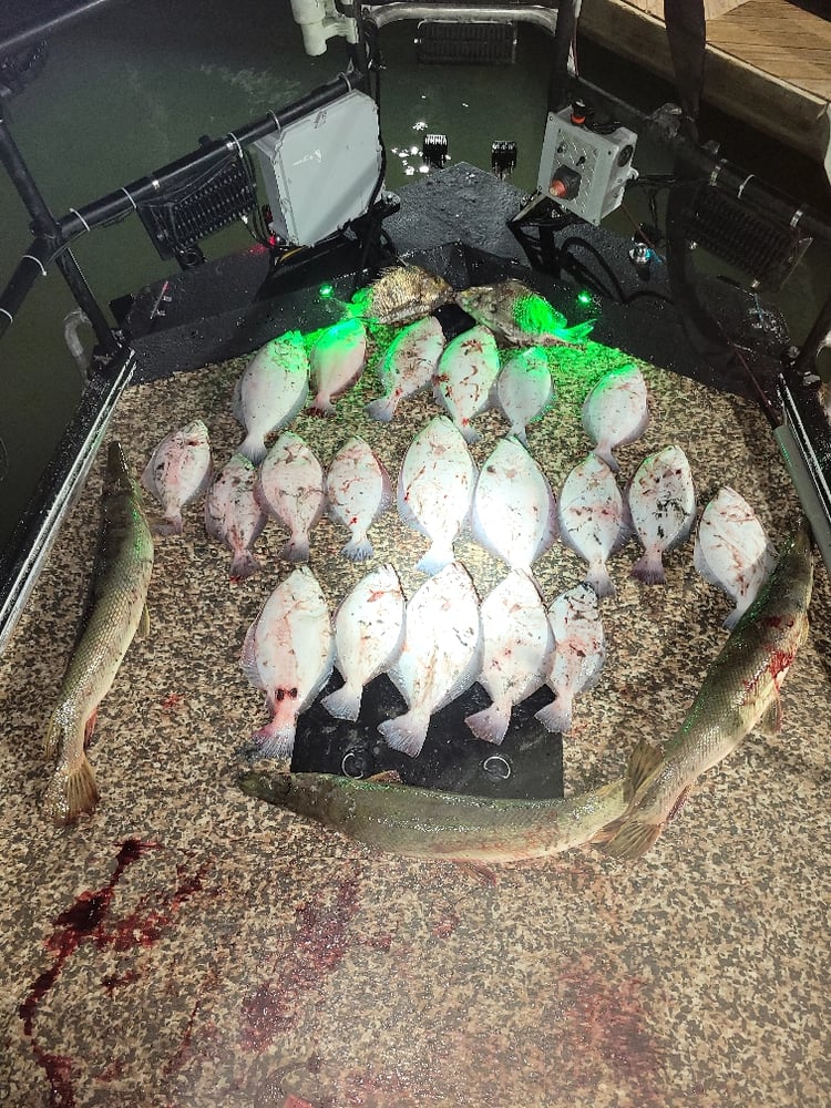 Corpus Christi Flounder Gigging In Port Aransas