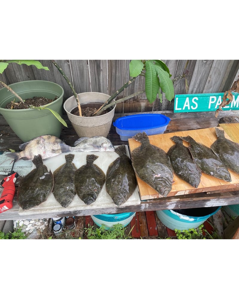 Port Aransas Flounder Gigging In Port Aransas