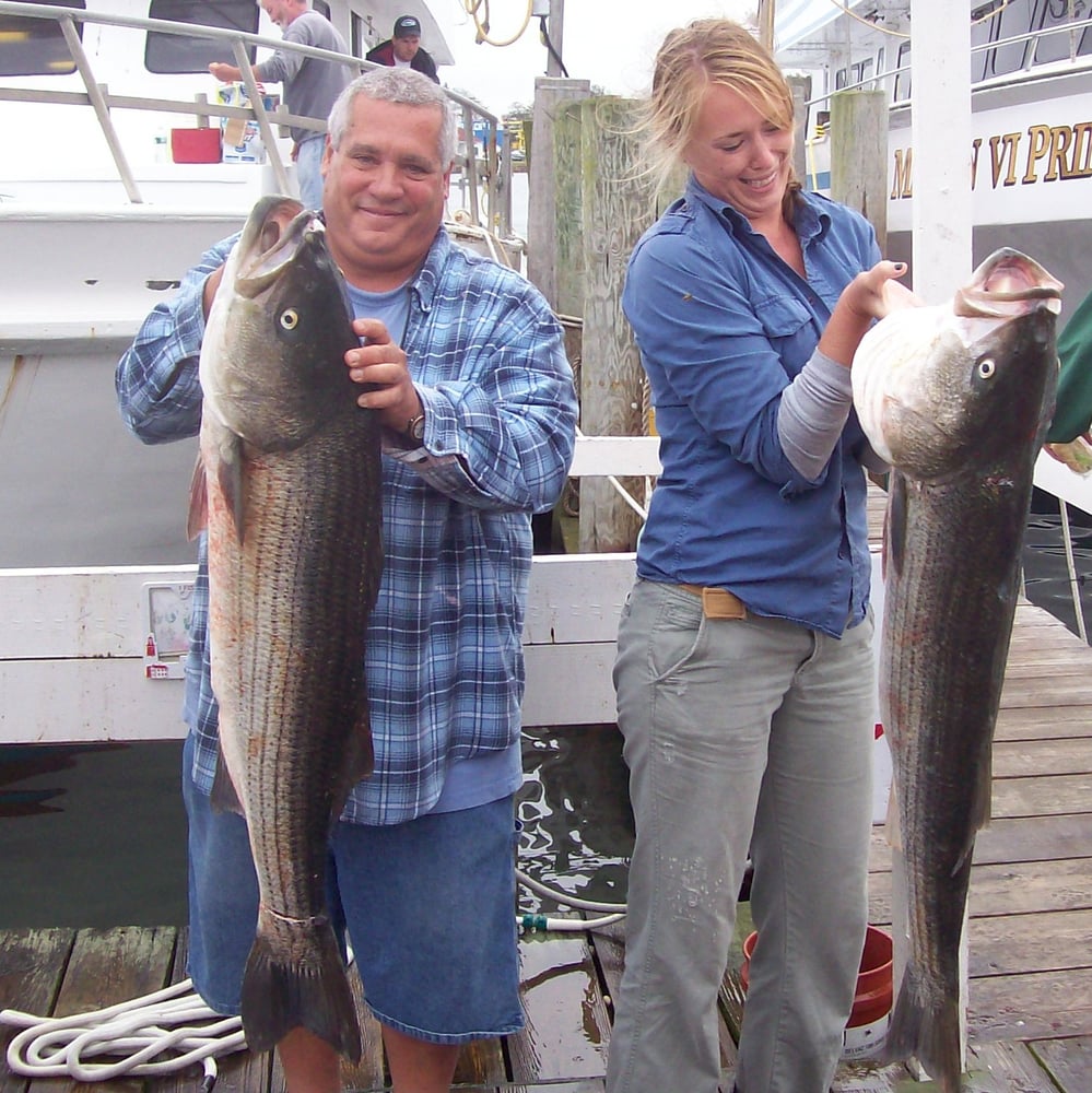 Spring Or Fall Stripers In Old Bridge