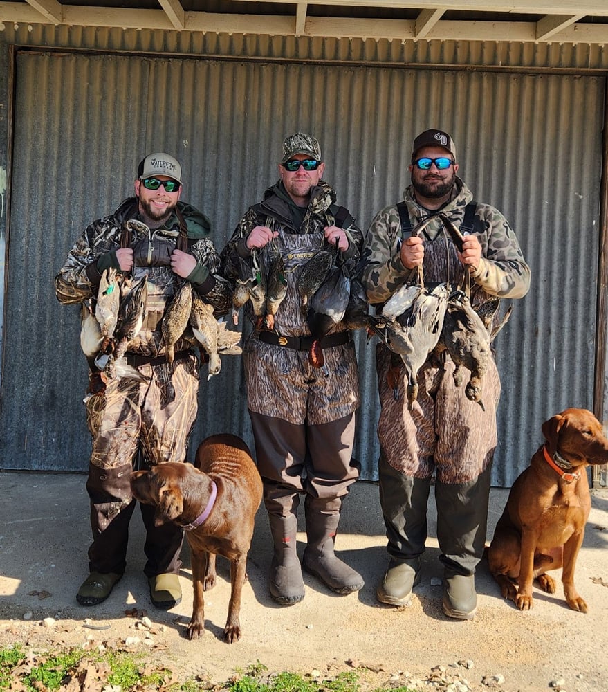 Central Texas Duck Hunts In Waco