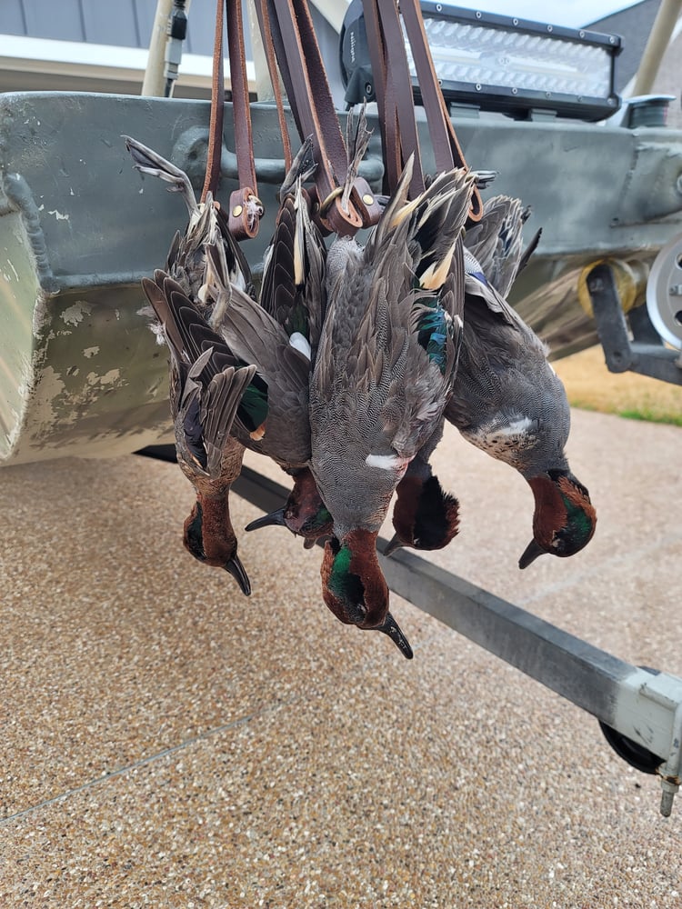 Central Texas Duck Hunts In Waco